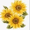 josiegc9158864